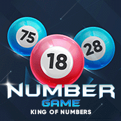 Number Game-img